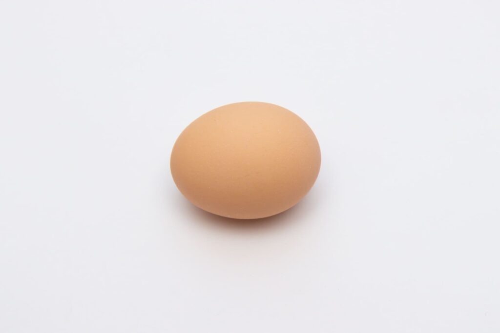 たまご　卵